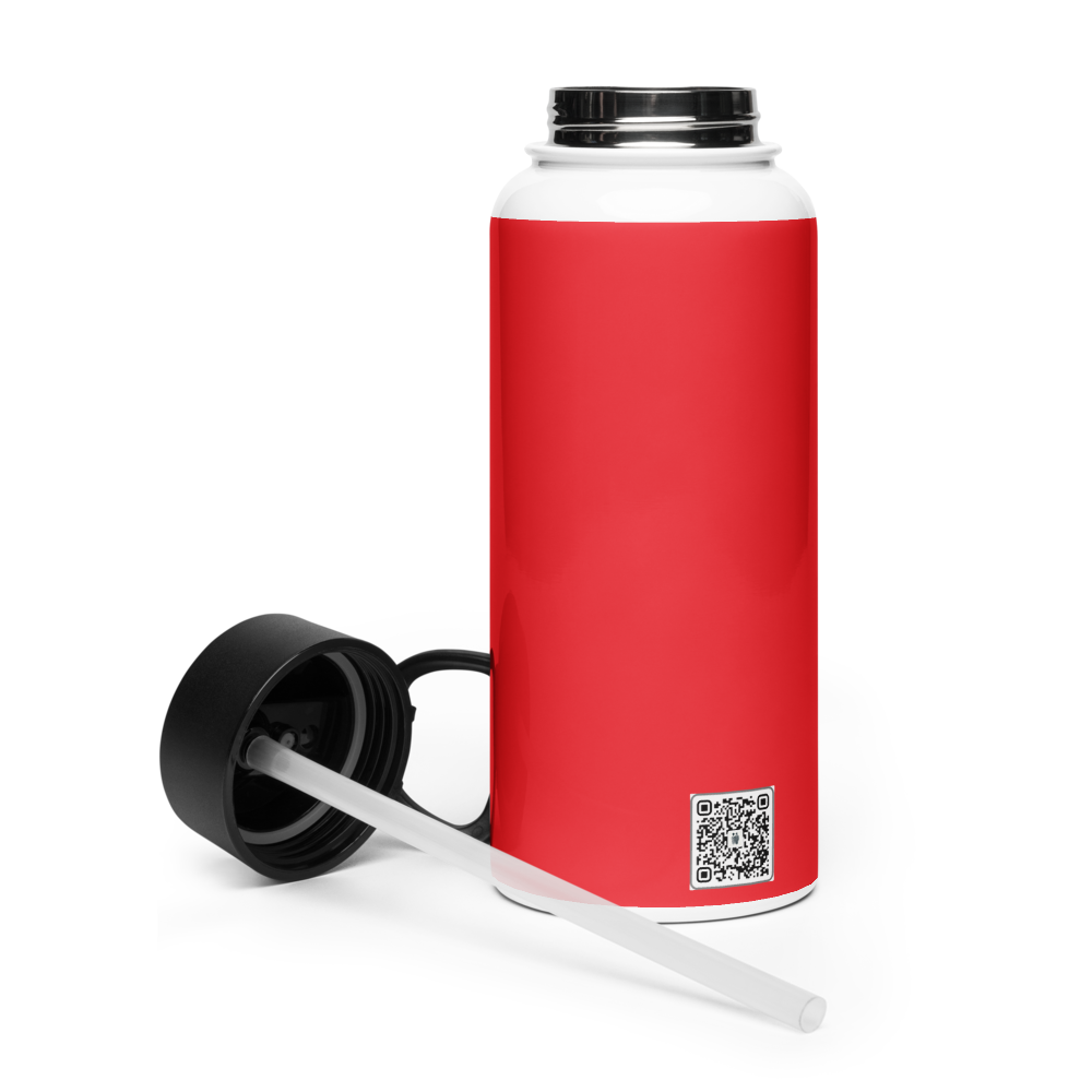 Digital Twin Stainless steel water bottle with a straw lid